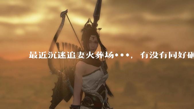 最近沉迷追妻火葬场***，有没有同好砸文交流亿下～，最好是让人忍不住通宵看的？