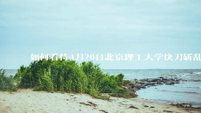 如何看待4月20日北京理工大学快刀斩乱麻处理“宫琳***”的做法？
