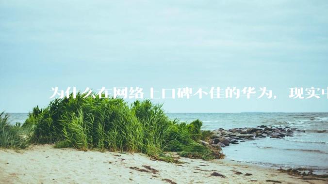 为什么在网络上口碑不佳的华为，现实中的销量却相当好？